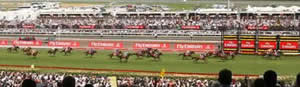 melbourne cup