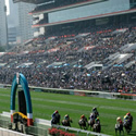 hong kong racing