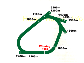 Ascot Track Map