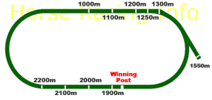 geelong grass track map