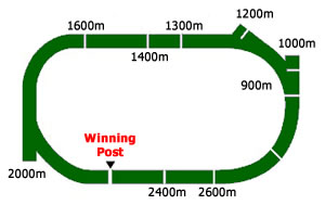 kembla grange track map