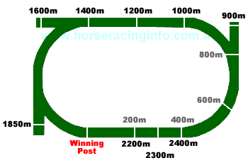 Newcastle Track Map