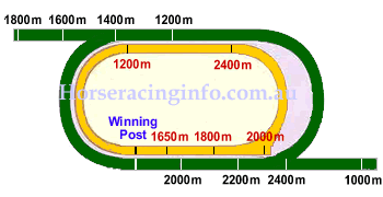 sha tin track map